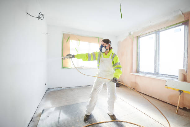 Best Black Mold Removal  in Kendale Lakes, FL