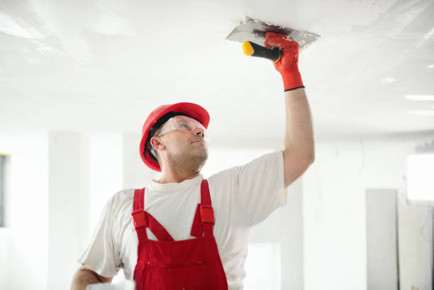 Best Biohazard Mold Removal  in Kendale Lakes, FL