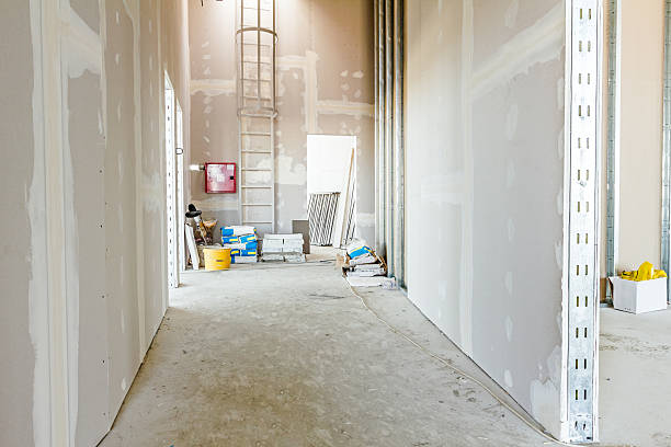 Best Black Mold Removal  in Kendale Lakes, FL